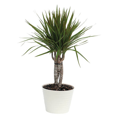  Product Image Front shot 02