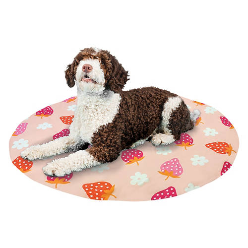  Product Image Lifestyle 01