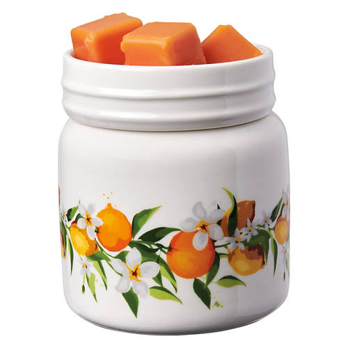 Mason Jar Shaped  Wax Warmer - Citrus