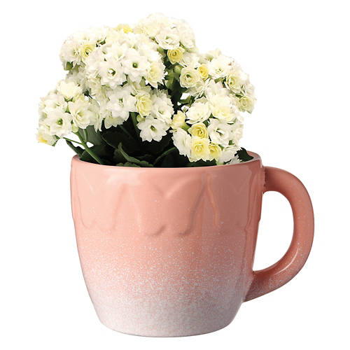  Product Image Front shot 03