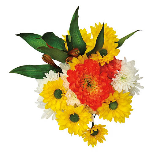  Product Image Front shot 02