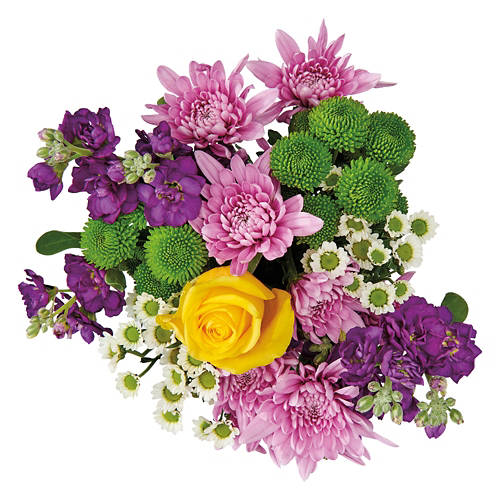  Product Image Front shot 04