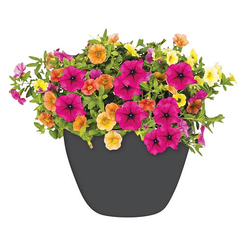  Product Image Front shot 03