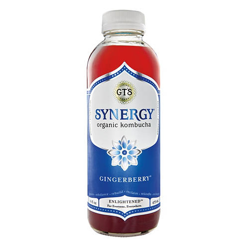 Organic Synergy Gingerberry Kombucha, 16 fl oz